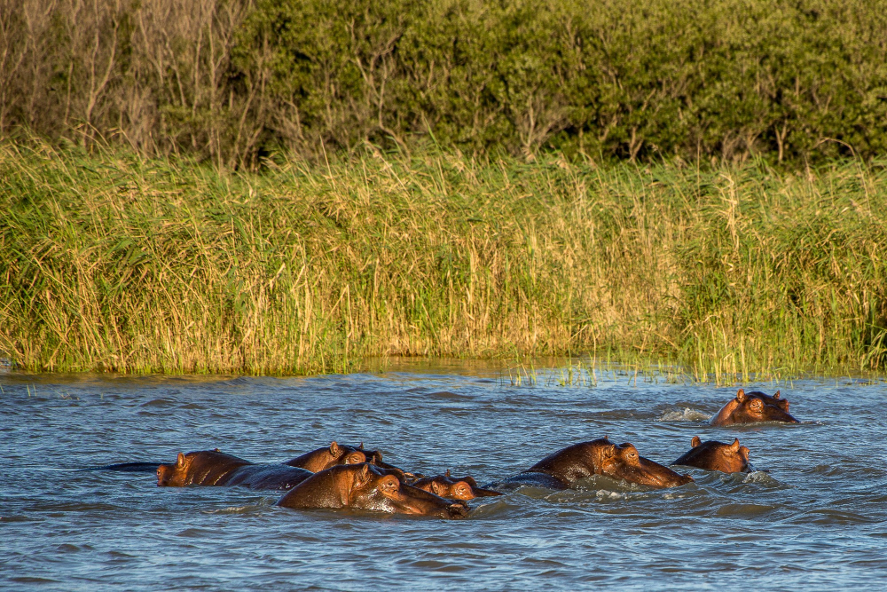 Lake Manyara — place to visit