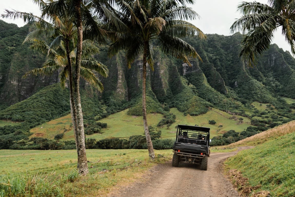 The Best Time to Visit Tanzania for Safari Seasons, the Migration, and What Specialists Recommend