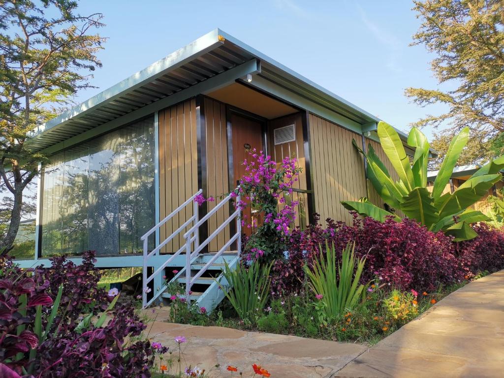 Jambo Mara Safari Lodge — luxury hotel