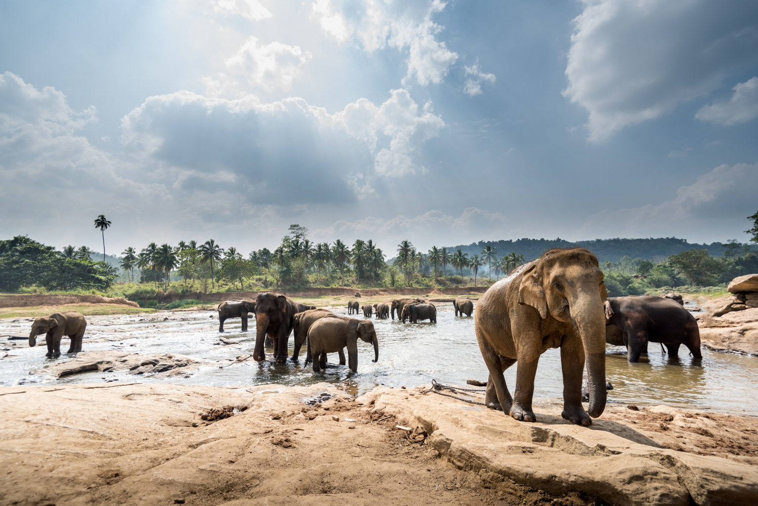 Sri Lanka Northern Discovery - 12 days begovo
