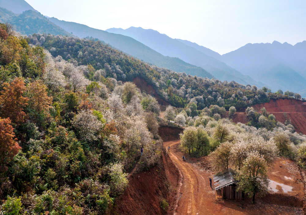 High Atlas mountain valley with an Amazigh village and argan trees near Imlil, Morocco