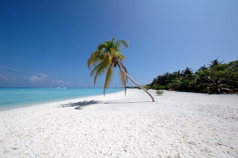 Bungalow Tropical Retreat - Kurumba