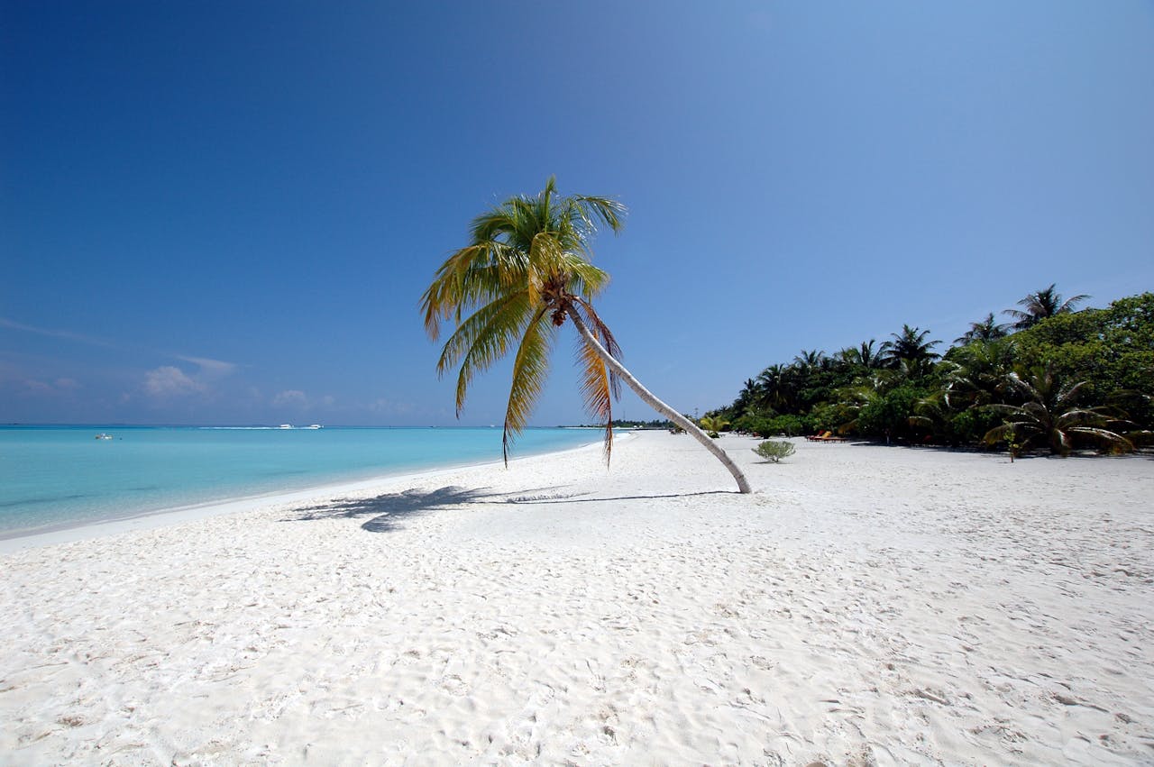 Bungalow Tropical Retreat - 7 days begovo