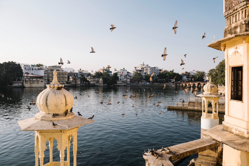 The Best Time to Visit India, a Region-by-Region Timing Guide