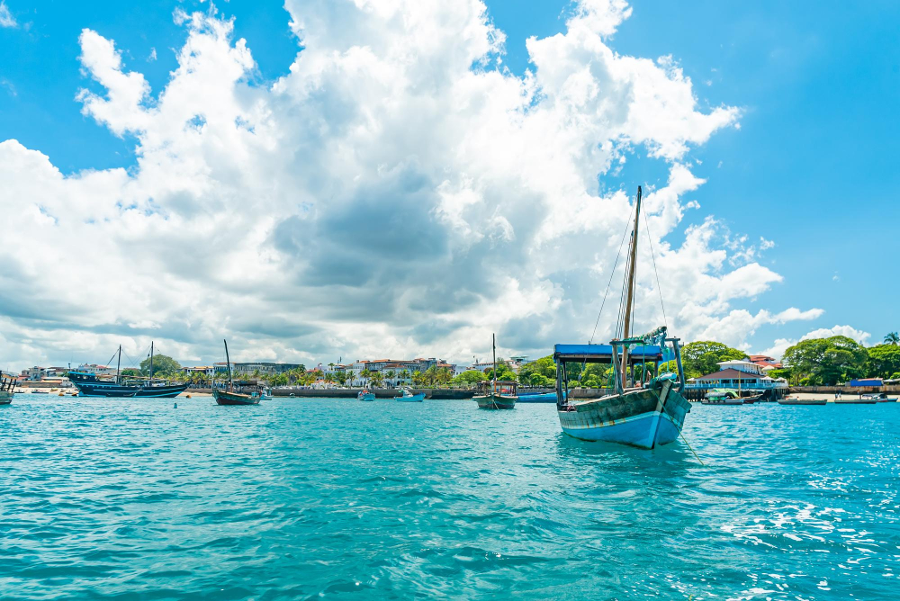 Tanzania Safari and Zanzibar - 7 days begovo