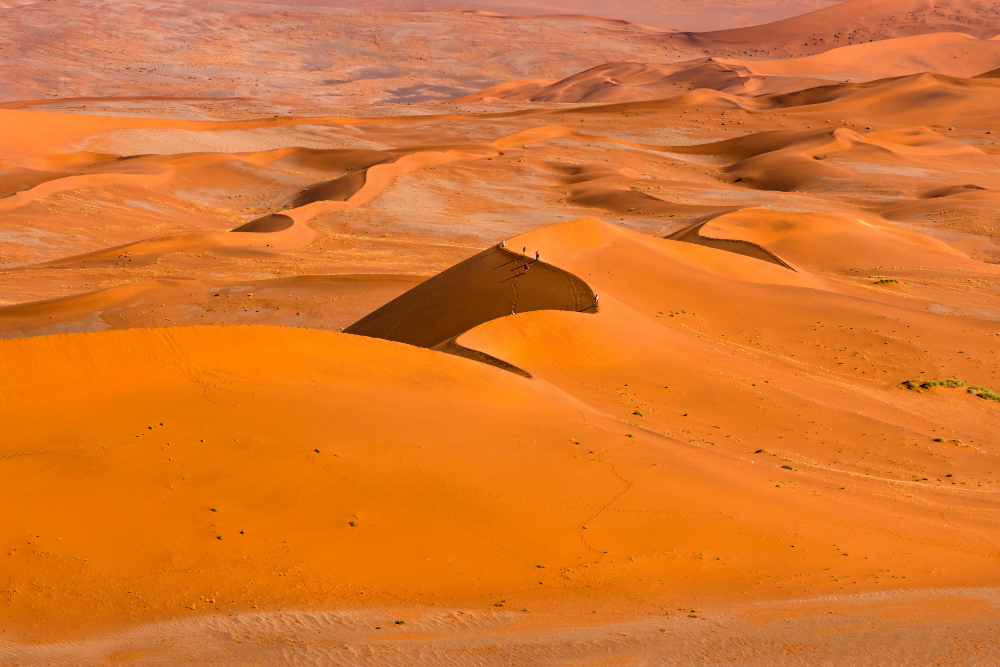 Golden autumn light over the Sahara Desert near Merzouga, Morocco, in October