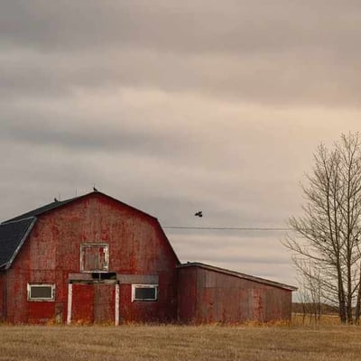 Lorem ipsum dolor sit amet, consectetur adipiscing eli thumbnail 1