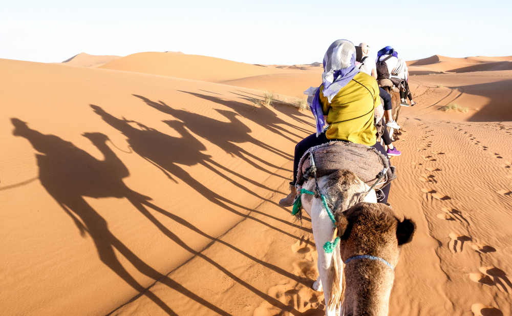 Specialist-guided camel trek through the Erg Chebbi dunes at sunrise in the Sahara Desert, Morocco