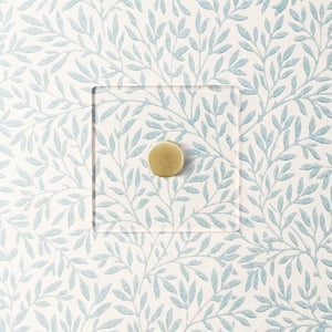 Lucian perspex one gang dimmer in clear perspex and aged brass