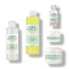 Acne Control Kit - 5 pcs