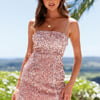 Hot Tricks Dress Blush