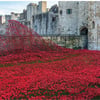 The Tower Remembers