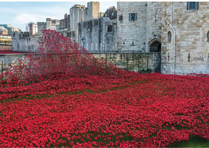 The Tower Remembers