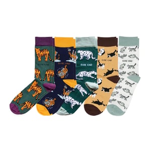 Ultimate Cat Bamboo Sock Set | UK Adult 7-11
