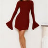 Without Limits Mesh Mini Dress Burgundy