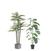 Artificial Palm Tree and Monstera Tree