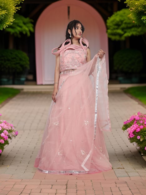 Stone & Sequins Lehenga Choli Set