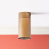 Barra IP65 static spotlight in brass