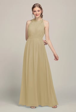 AW Dessa Dress