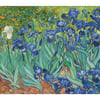Irises - Vincent Van Gogh