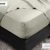 QE Home 350TC BeechBliss TENCEL™ Modal Fitted Sheet in Switchgrass, Green, King