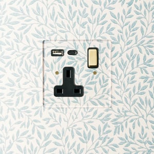 Lucian perspex single socket with USB type A & C in clear perspex with black inserts and aged brass switch