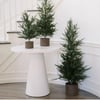 4' Pine Tree