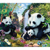 Panda Valley_Z