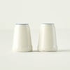 Vintage Salt Pepper Shaker Set