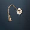 Limber wall light in antique silver