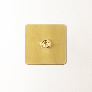 Lucian one gang 2 way toggle switch in top brass