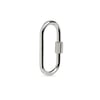 Classic Carabiner Large