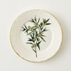 Olive Porcelain Dinner Plate