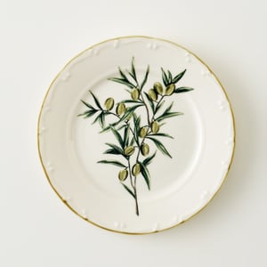 Olive Porcelain Dinner Plate