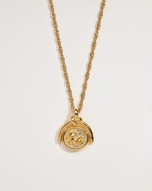 Capricorn Spinner Pendant