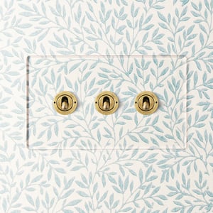 Lucian perspex three gang 2-way toggle switch in clear perspex and aged brass