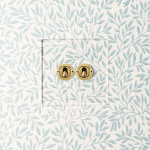 Lucian perspex two gang 2-way toggle switch in clear perspex and aged brass