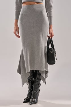 AKIRA Lexi Midi Skirt | Size 1X