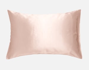 QE Home 100% Mulberry Silk Pillowcase in Rose, Pink, King