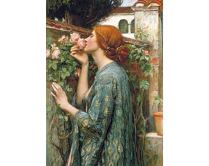 The Soul of the Rose