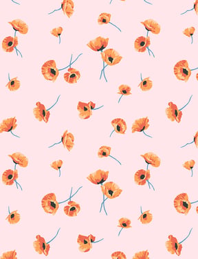 Poppy' Wallpaper by Nathan Turner - Blush - Traditional / 27 in. x 27 ft.