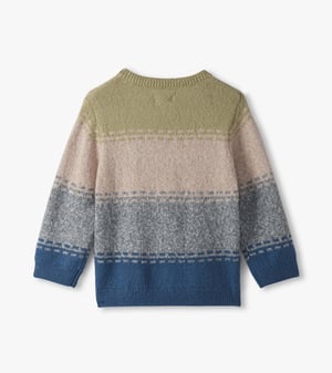 Baby & Toddler Boys Blue Combo Crew Neck Sweater