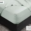 QE Home 350TC BeechBliss TENCEL™ Modal Fitted Sheet in Waterfall, Green, Queen