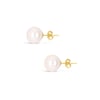 Power Pearl Stud Earring 9ct Gold