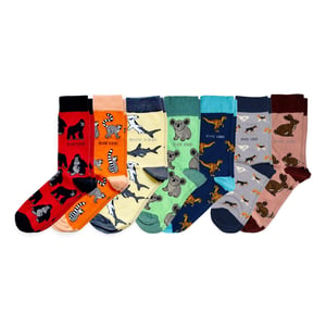 Step Into the Rainbow Bundle of 7 | UK Adult 7-11