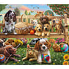 Pets in the Park