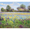 Farmstead and Iris Field_X