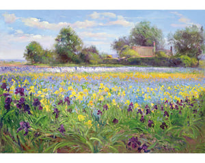 Farmstead and Iris Field_T