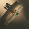 Portrait Ring