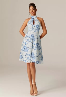 AW Lucerne Dress